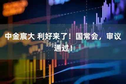 中金宸大 利好来了！国常会，审议通过！