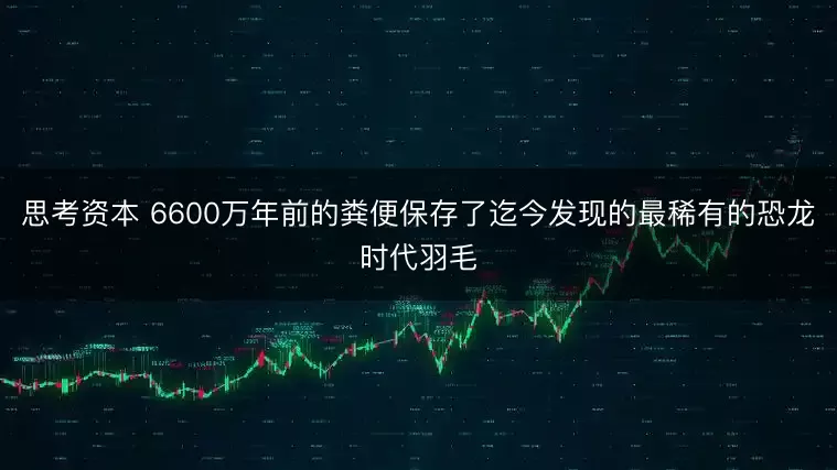 思考资本 6600万年前的粪便保存了迄今发现的最稀有的恐龙时代羽毛